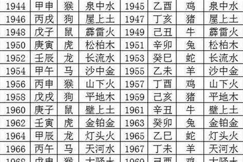 2024 属性|2024年什么命五行属性